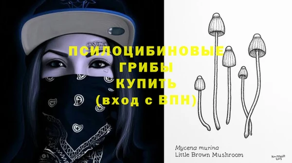 дмт Абинск