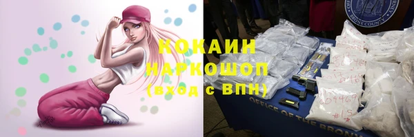 дурь Алексин