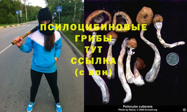 дурь Алексин