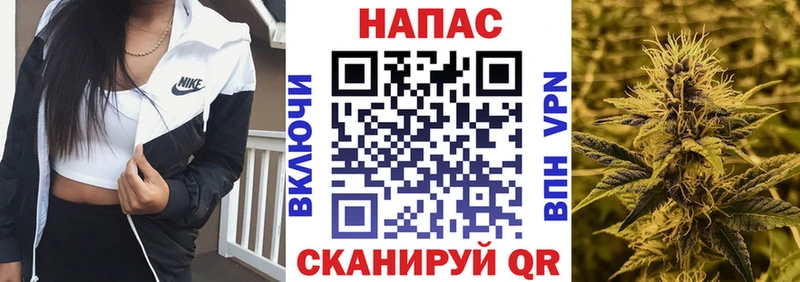 Бошки Шишки планчик  Нижний Новгород 